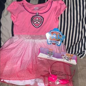 Skye paw patrol costume
